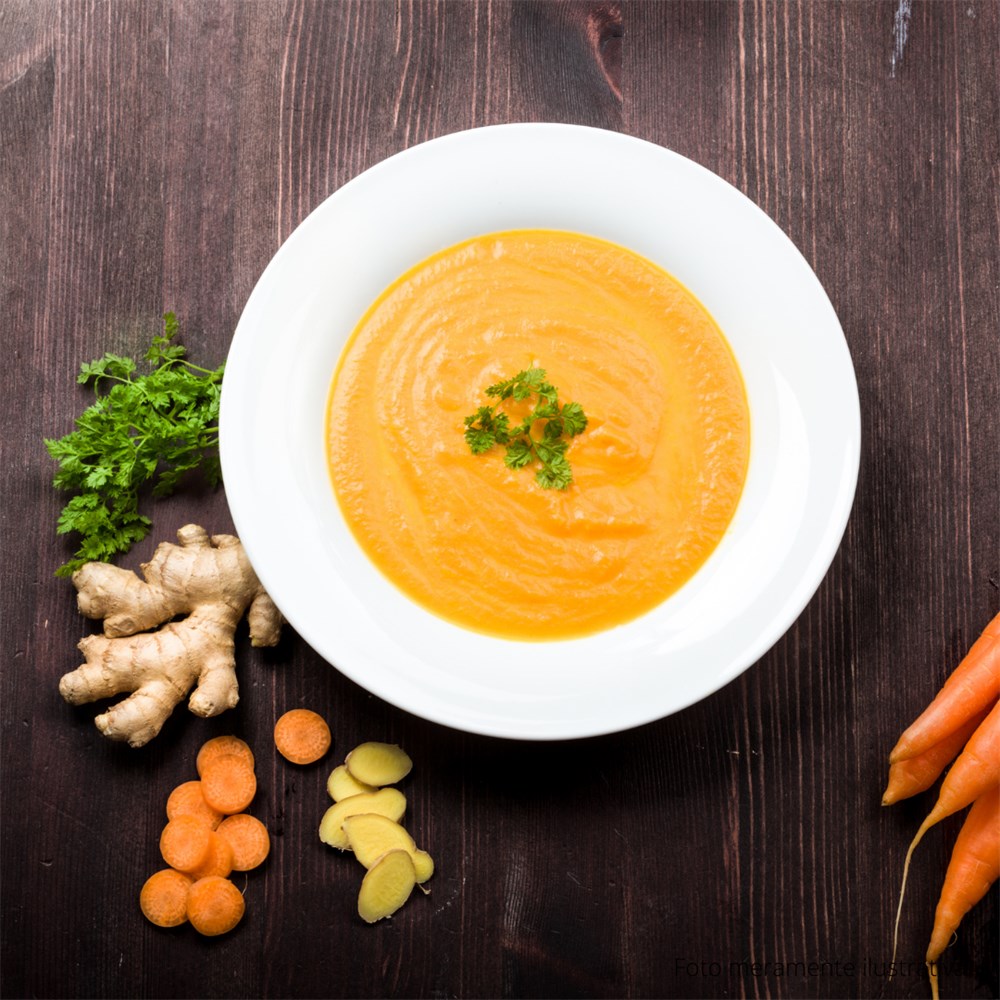 Sopa Creme de Cenoura com Gengibre 450g-145083401